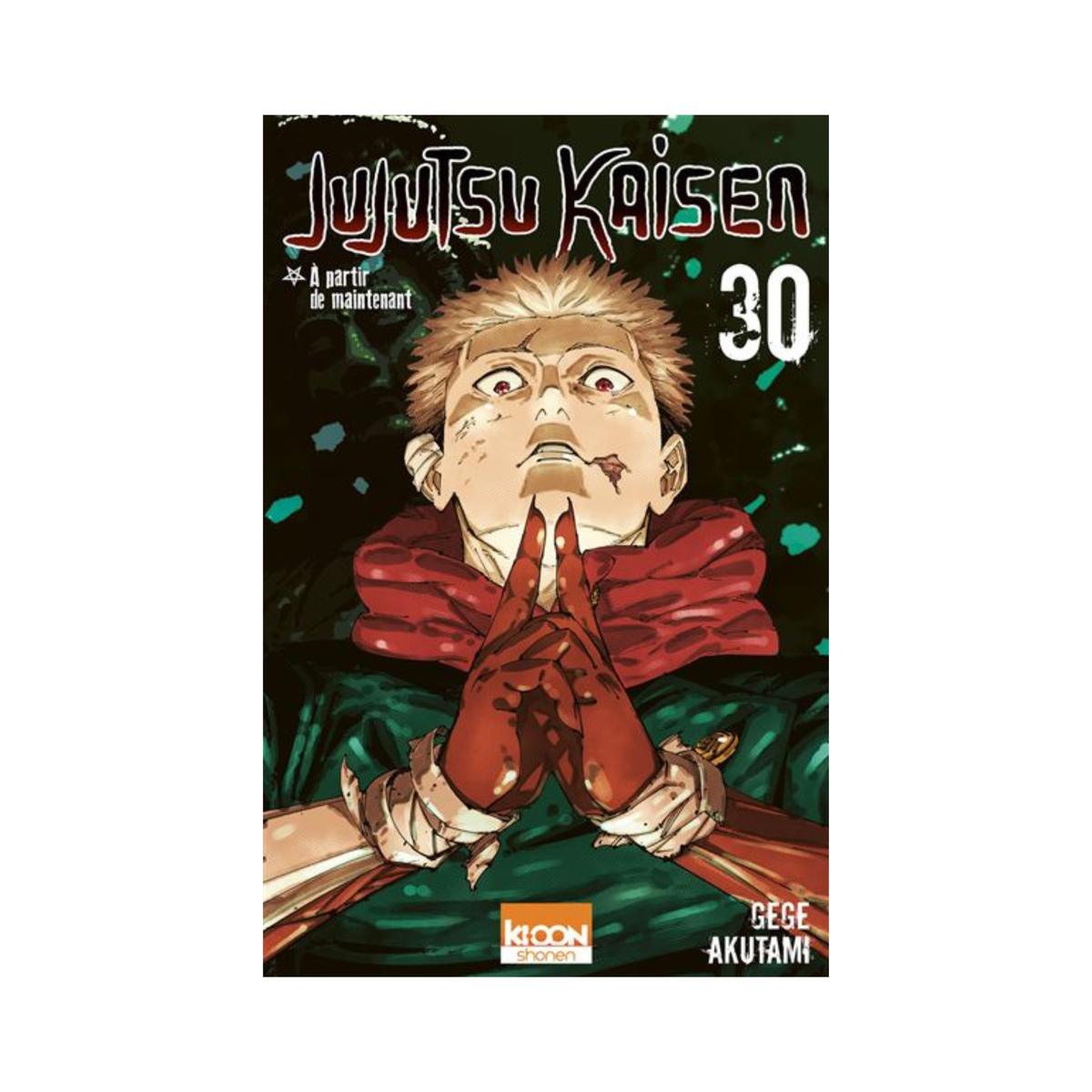 Jujutsu Kaisen - Tome 30