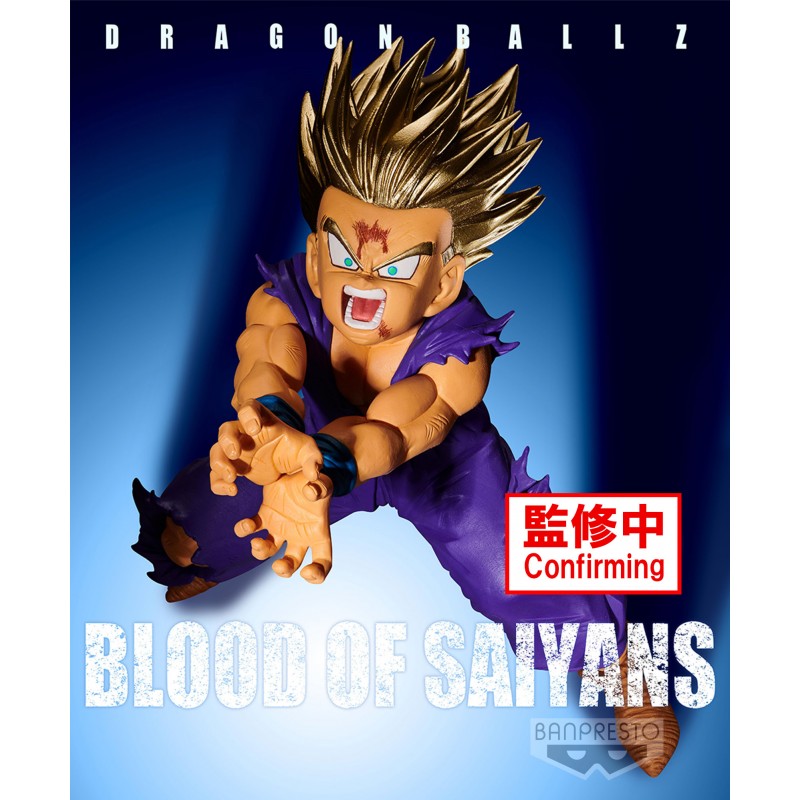 DRAGONBALL Z BLOOD OF SAIYANS SPECIAL SON GOHAN