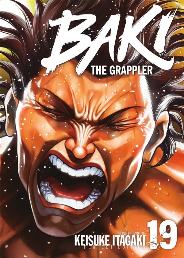 Baki the Grappler - Tome 19 - Perfect Edition