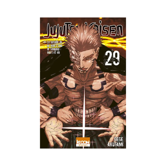 Jujutsu Kaisen - Tome 29